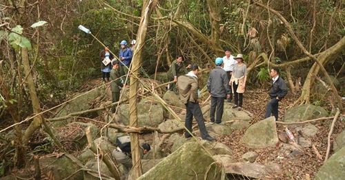Lực lượng chức năng kiểm tra khu vực rừng bảo tồn tại Hố Sâu, bán đảo Sơn Trà, nơi có dấu hiệu bị chặt phá nghiêm trọng.