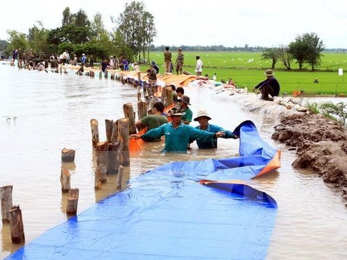 Ảnh minh họa. (Nguồn: TTXVN)