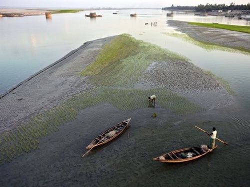 Sông Teesta (Nguồn: Nationalgeographic)