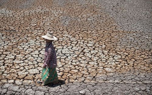 Hạn hán tại Thái Lan (Nguồn: AFP)