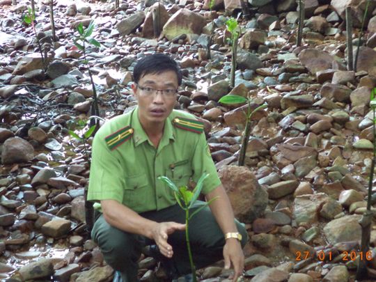 Anh Nguyễn Văn Trà - Phó hạt trưởng Hạt Kiểm lâm Côn Đảo về việc nghiên cứu, ươm, trồng cây chống xói mòn ở rừng ngập mặn Côn Đảo…