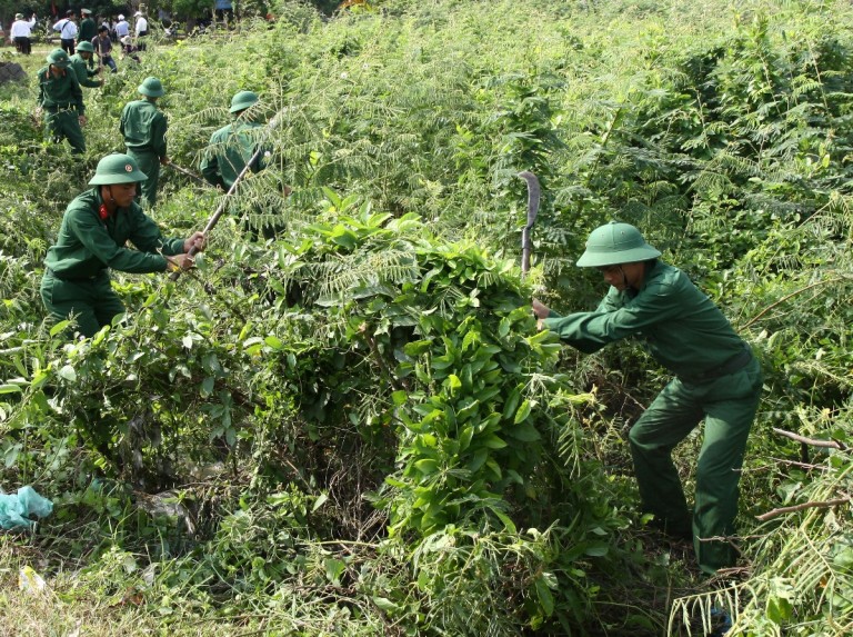 Hà Nội phát động diệt trừ các loài ngoại lai xâm hại môi trường