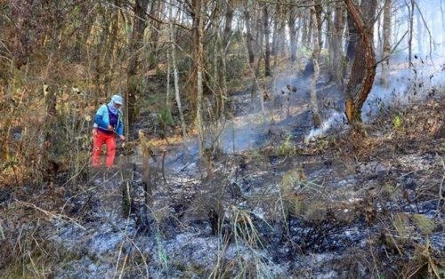Ảnh minh họa: Xuân Tư/TTXVN