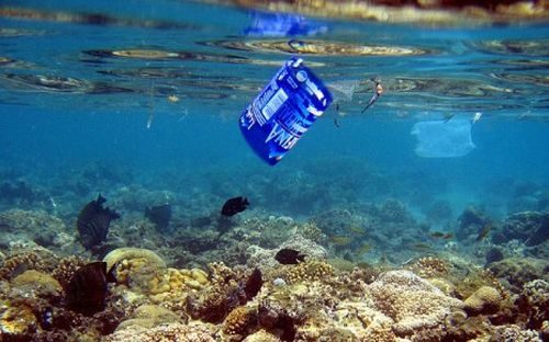 Rác thải trôi nổi trong làn nước biển ở Ai Cập.