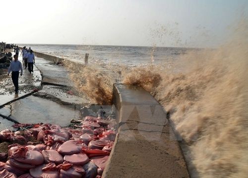Dù đã được khắc phục tạm thời nhưng do sóng biển đánh mạnh nên kè Gành Hào vẫn đang có nguy cơ tiếp tục sạt lở (Ảnh: Nguyễn Thanh Liêm/TTXVN)