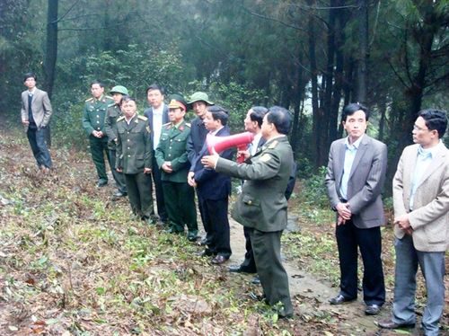 Đề án giao đất, giao rừng đang tạo công ăn việc làm cho hàng chục nghìn hộ dân trên địa bàn tỉnh Hà Tĩnh