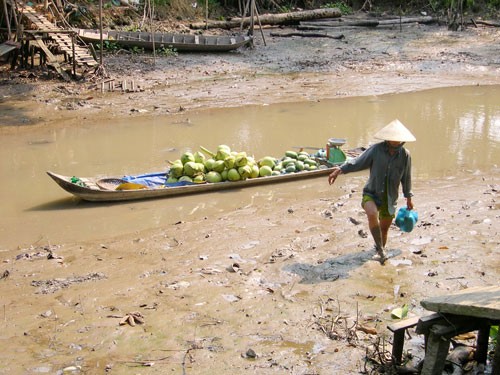  Một con kênh ở tỉnh Hậu Giang đã cạn nước (Ảnh: Ngọc Trinh/nld.com.vn)