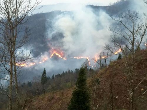 Từ đầu năm đến nay, tại huyện Sa Pa đã có trên 250 ha rừng bị cháy. Ảnh: TQ