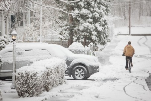 Tuyết phủ trắng xóa ở Greenwich, Connecticut, Mỹ (Nguồn: AFP/TTXVN)