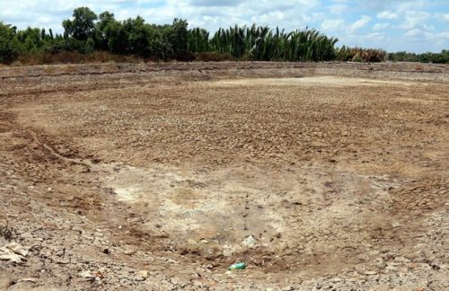 Hạn, mặn nghiêm trọng khiến nhiều đầm nuôi tôm công nghiệp ở Cà Mau bị bỏ hoang (Ảnh: Kim Há/TTXVN)