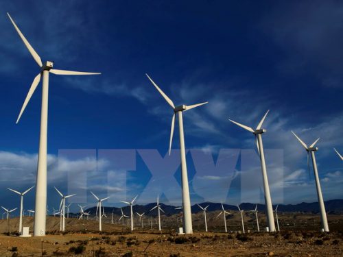 Các tuabin gió tại nhà máy phong điện ở Palm Springs, bang California (Nguồn: THX/TTXVN)
