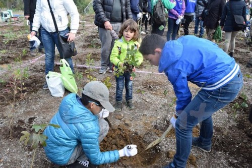 Ảnh: Nguyễn Tuyến/Vietnam+