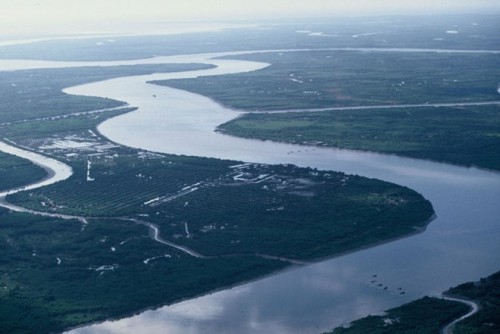 Đoạn sông Mekong chảy trên lãnh thổ Việt Nam (Nguồn: WWF)
