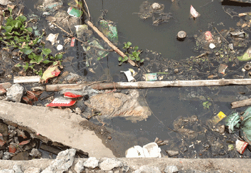 Ô nhiễm nguồn nước ngày càng nghiêm trọng ở Xà Cầu