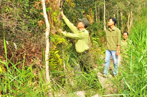 Lực lượng chức năng đang làm nhiệm vụ
