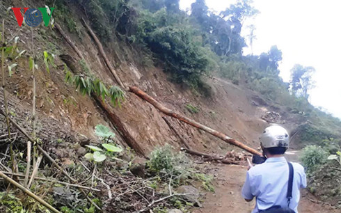 Khu vực rừng phòng hộ giáp ranh giữa xã Phú Nghiêm và Hồi Xuân huyện miền núi Quan Hóa bị “lâm tặc” đốn hạ