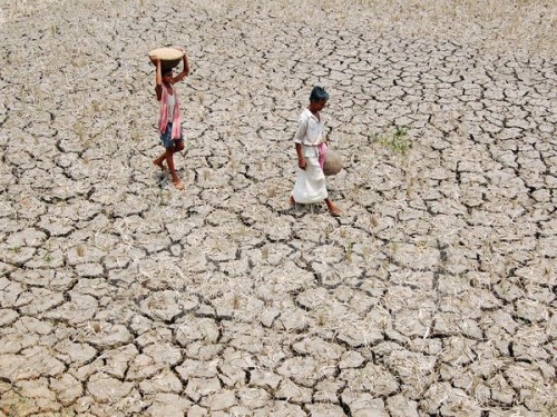 Cánh đồng khô nẻ tại ngoại ô Agartala (Nguồn: AFP/TTXVN)
