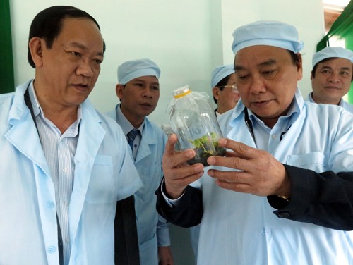 Phó Thủ tướng Chính phủ Nguyễn Xuân Phúc thăm Trung tâm Sâm Ngọc Linh ở huyện Nam Trà My, tỉnh Quảng Nam (Ảnh: Đỗ Trưởng- TTXVN)