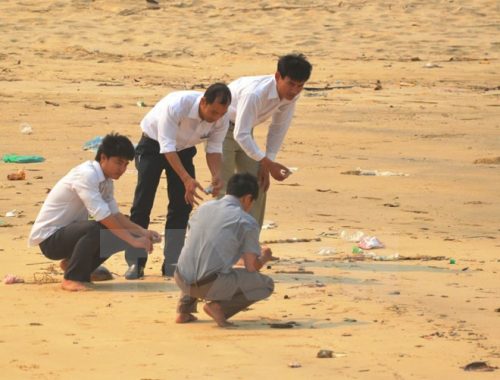  Hiện tượng cá chết bất thường ở vùng biển Quảng Bình (Nguồn ảnh: TTXVN)