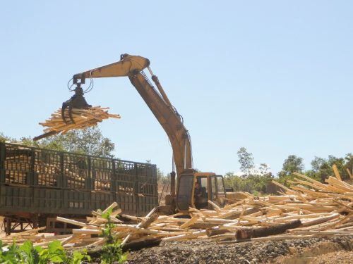  Trong 10 năm qua, từ chỗ phụ thuộc 70% nguyên liệu gỗ nhập khẩu, ngành chế biến gỗ đã “đảo ngược” tỷ trọng này nhờ hiệu quả phát triển rừng (Ảnh: chinhphu.vn)
