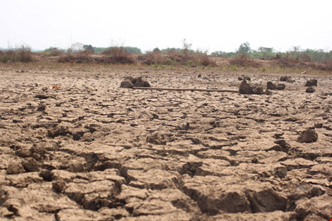 Hơn 670 tỉ đồng thiệt hại do khô hạn kéo dài ở Bình Phước. Ảnh: K.GỬI 
