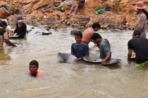 Lặn ngụp dưới dòng nước để tìm vàng