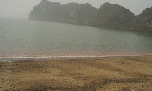  Thủy triều đỏ từng xuất hiện bờ biển Bình Thuận. Ảnh: Viện Hải dương học Nha Trang.