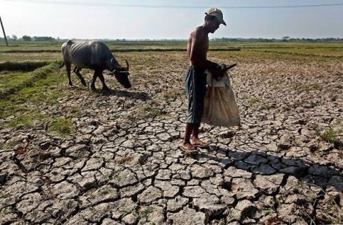 Ảnh hưởng xấu từ El Nino gây nên tình trạng thiếu lương thực nghiêm trọng ở nhiều khu vực trên thế giới.