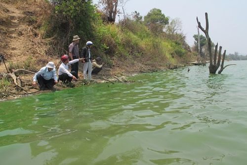 Đoàn khảo sát đánh giá mức độ ô nhiễm ở Sông Ba.