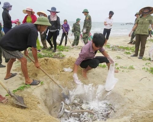 Người dân thu gom cá chết dạt vào bờ biển miền Trung (Nguồn: TTXVN)