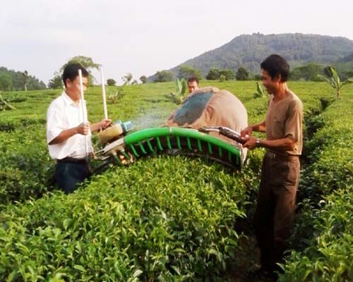 Ảnh minh họa: Kinh tế nông thôn