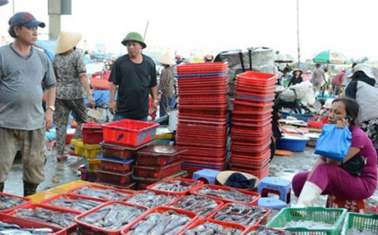 Hỗ trợ ngư dân tiêu thụ hải sản. Ảnh: Nguồn internet.