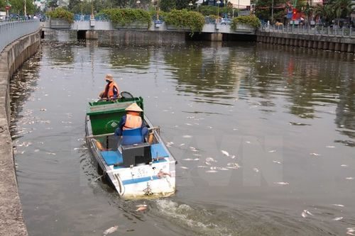 Các đội dịch vụ công ích của quận và thành phố tiến hành vớt cá chết để đảm bảo vệ sinh môi trường cho tuyến kênh Nhiêu Lộc-Thị Nghè (Ảnh: Thanh Vũ/TTXVN)