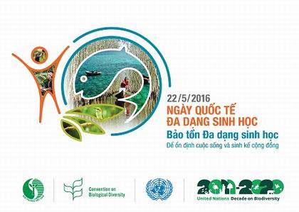 220516_dadangsinhhoc