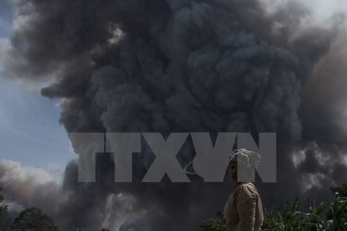 Núi lửa phun những cột khói và tro bụi ngày 24/6/2015 (Ảnh: AFP/TTXVN)
