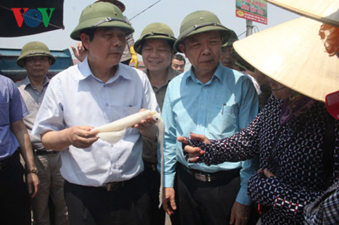  Bộ trưởng Bộ Nông nghiệp Cao Đức Phát kiểm tra tình hình mua bán hải sản tại Cảng cá sông Gianh, tỉnh Quảng Bình.
