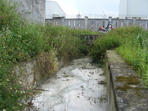 Nước thải chưa qua xử lý của Nhà máy Bê tông Nghi Sơn 320 đổ thẳng ra mương chung của khu công nghiệp Trường Thạch. Ảnh: Lương Ý