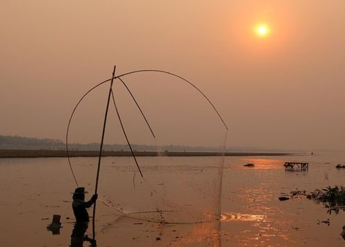 Đồng bằng sông Cửu Long của Việt Nam bị khô hạn nghiêm trọng (Ảnh: Hùng Võ/Vietnam+)