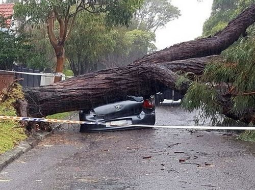 Bão lớn gây ảnh hưởng ở Sydney, Australia (Nguồn: stuff.co.nz)