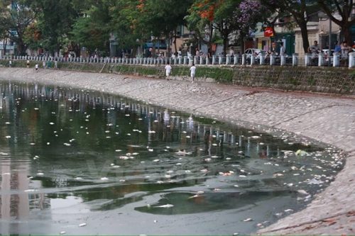 Cá chết ở hồ Hoàng Cầu (Ảnh: Minh Sơn/Vietnam+)