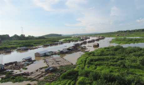 Mực nước trên sông La Ngà, Định Quán, Đồng Nai không chỉ rút thấp mà còn thường xuyên bị ô nhiễm khiến cá chết hàng loạt, xóm bè lao đao
