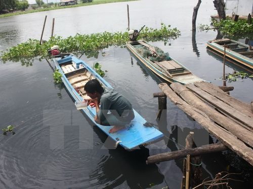 Người dân sống ven sông kiểm tra nguồn nước khi phát hiện mặt sông đã chuyển thành màu đen sẫm và kèm theo mùi hôi khó chịu (Ảnh: Thanh Tân/TTXVN)