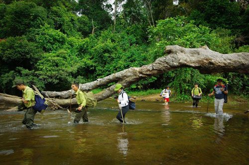  Nếu xây dựng thủy điện Vĩnh Sơn 2, một diện tích rừng trong Khu Bảo tồn thiên nhiên Kon Chư Răng sẽ bị phá hủy (Ảnh: Doãn Vinh)
