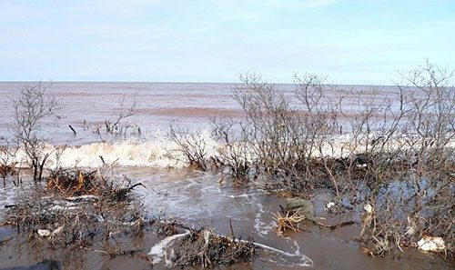 Kịch bản đối phó biến đổi khí hậu và nước biển dâng không khả quan? -  ThienNhien.Net | Con người và Thiên nhiên