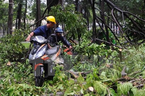 Nhân viên Công ty cây xanh thành phố di chuyển chiếc xe máy bị nhánh cây đè trúng trên đường Lê Duẩn, quận 1. (Ảnh: An Hiếu/TTXVN)