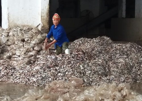Theo người dân phản ánh, nguyên nhân ô nhiễm là do các cơ sở chế biến bột cá