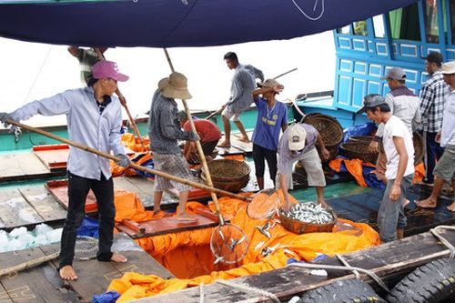 UBND tỉnh Quảng Trị đã chỉ đạo quyết liệt, không ngừng tìm biện pháp giúp dân đứng vững