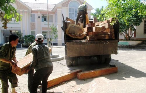 Gỗ tang vật mà tổ công tác của xã EaTrol bắt giữ