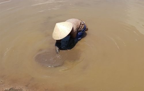 Ô nhiễm khiến cho việc mưu sinh trên sông Long Hầu ngày càng khó khăn