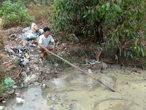 Ảnh minh họa: Đậu Tất Thành/TTXVN